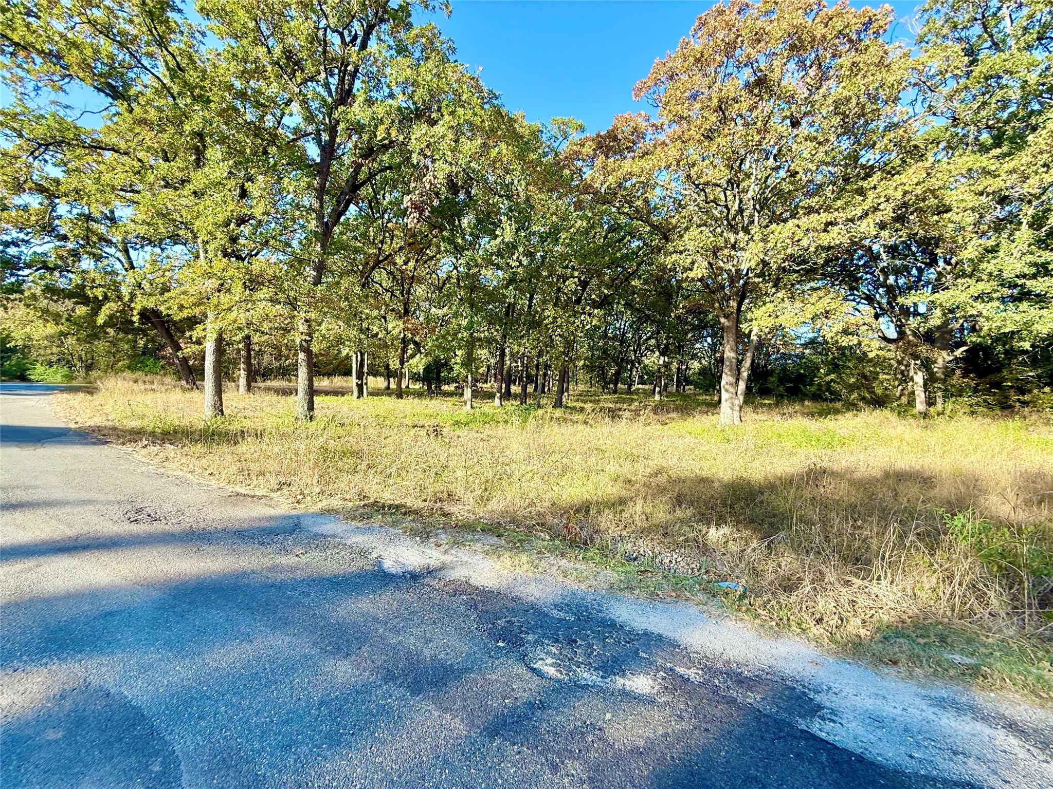 264 County Road 1452 Bonham TX 75418