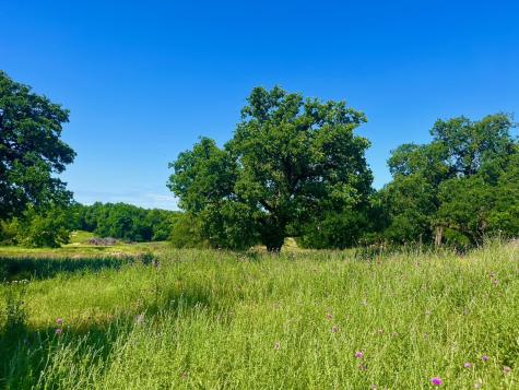 Lot 75 Kilkenny Road Poolville TX 76487