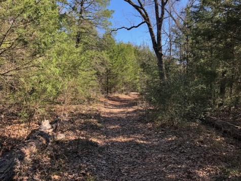 128 Lincoln Drive Streetman TX 75859