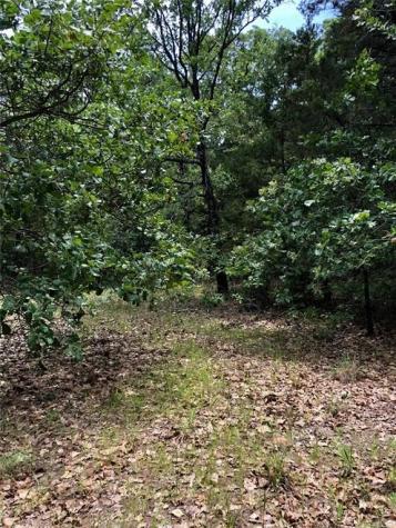 128 Lincoln Drive Streetman TX 75859