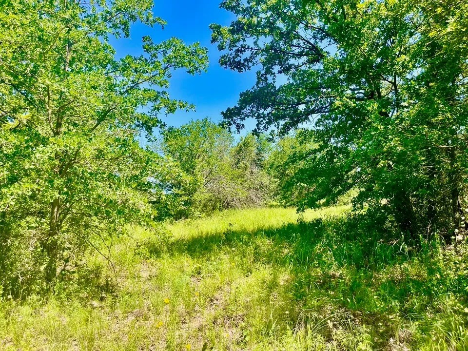 Lot 35 Galway Road Poolville TX 76487