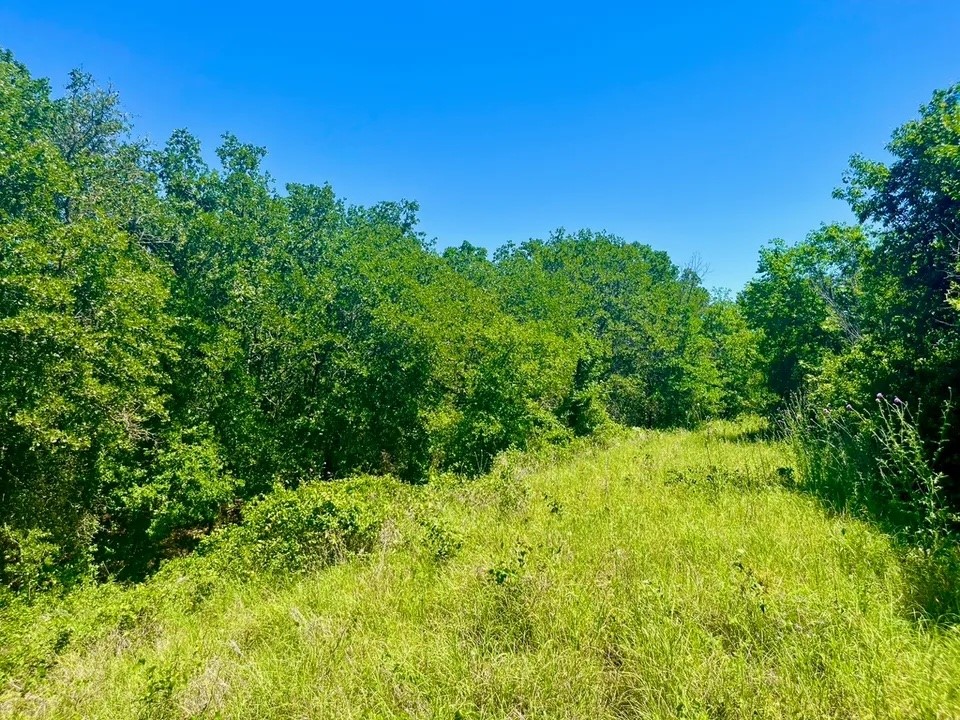 Lot 35 Galway Road Poolville TX 76487