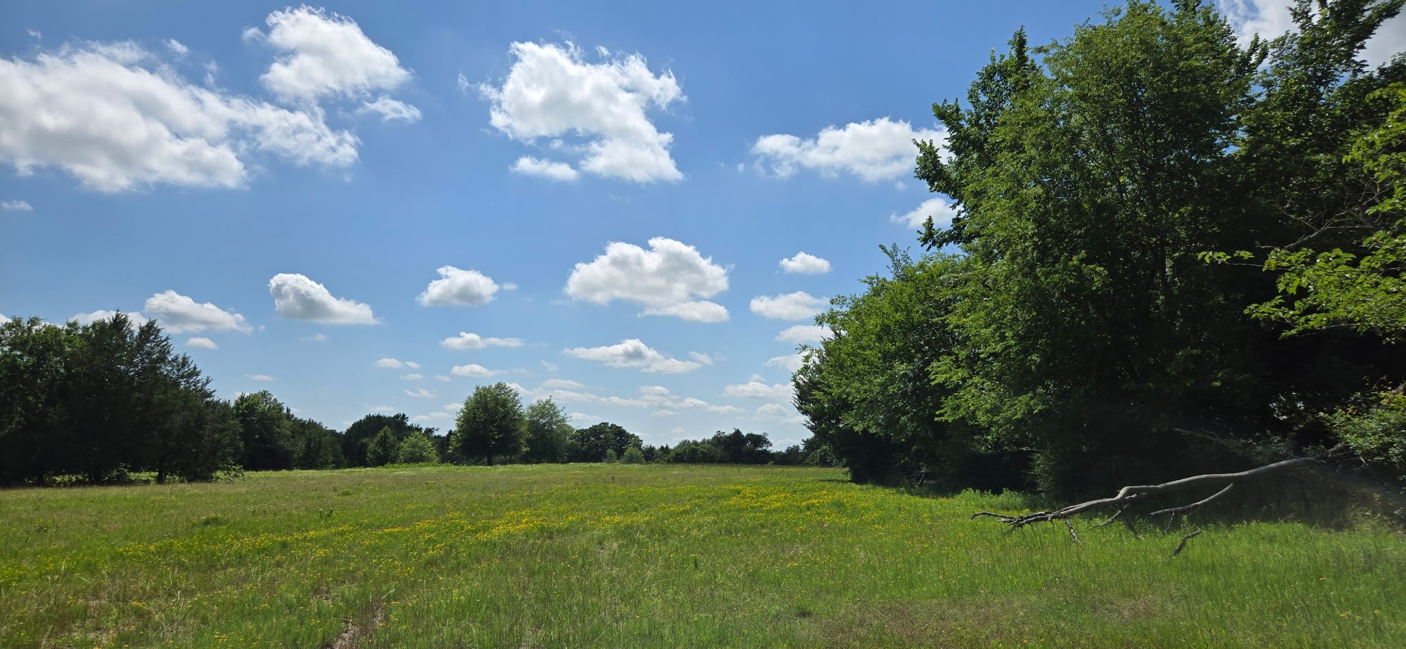12077 County Road 1200 Malakoff TX 75148
