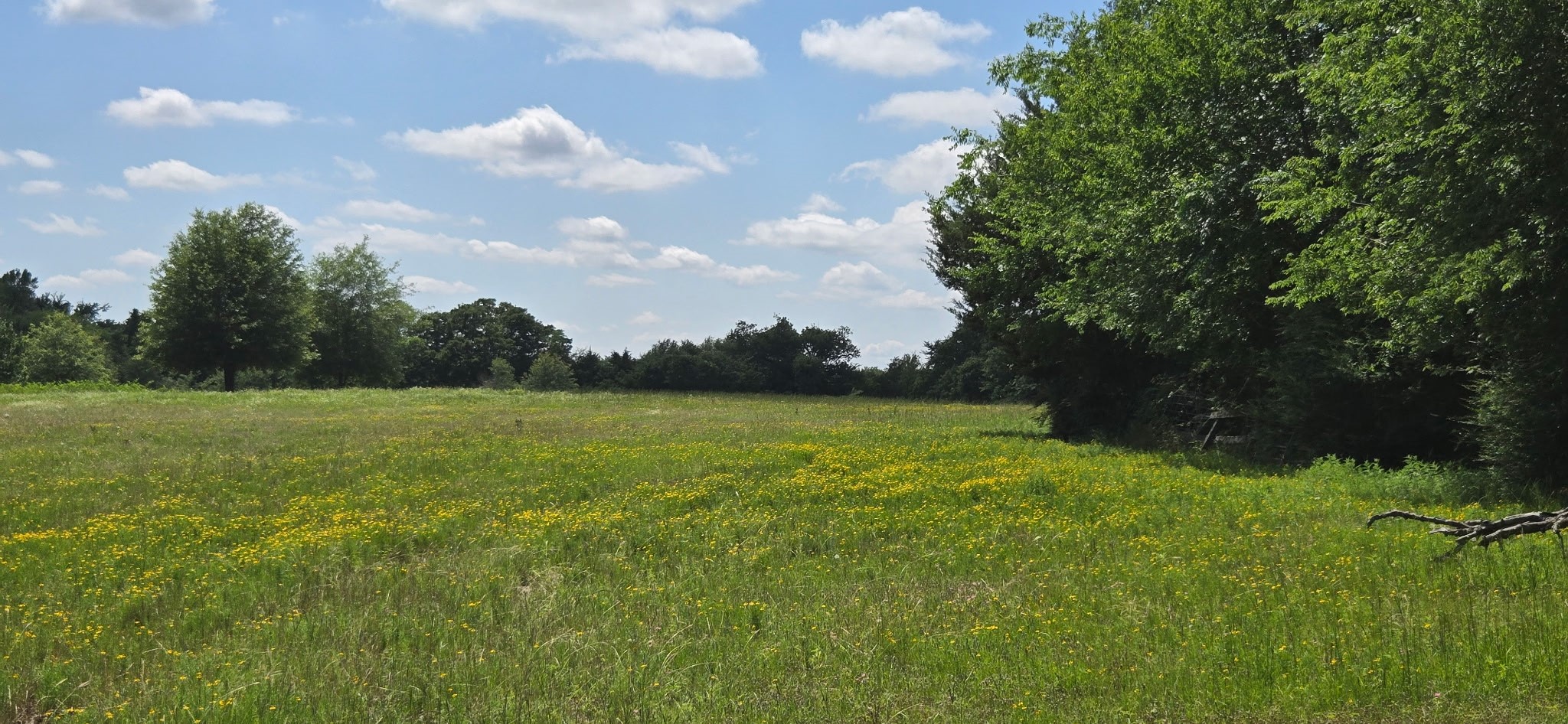 12077 County Road 1200 Malakoff TX 75148