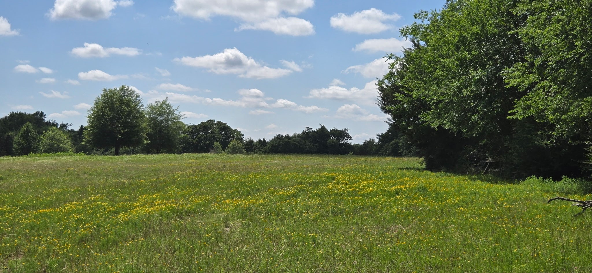 12077 County Road 1200 Malakoff TX 75148