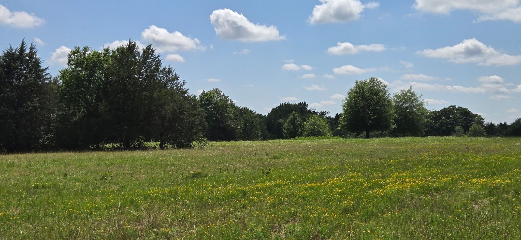12077 County Road 1200 Malakoff TX 75148