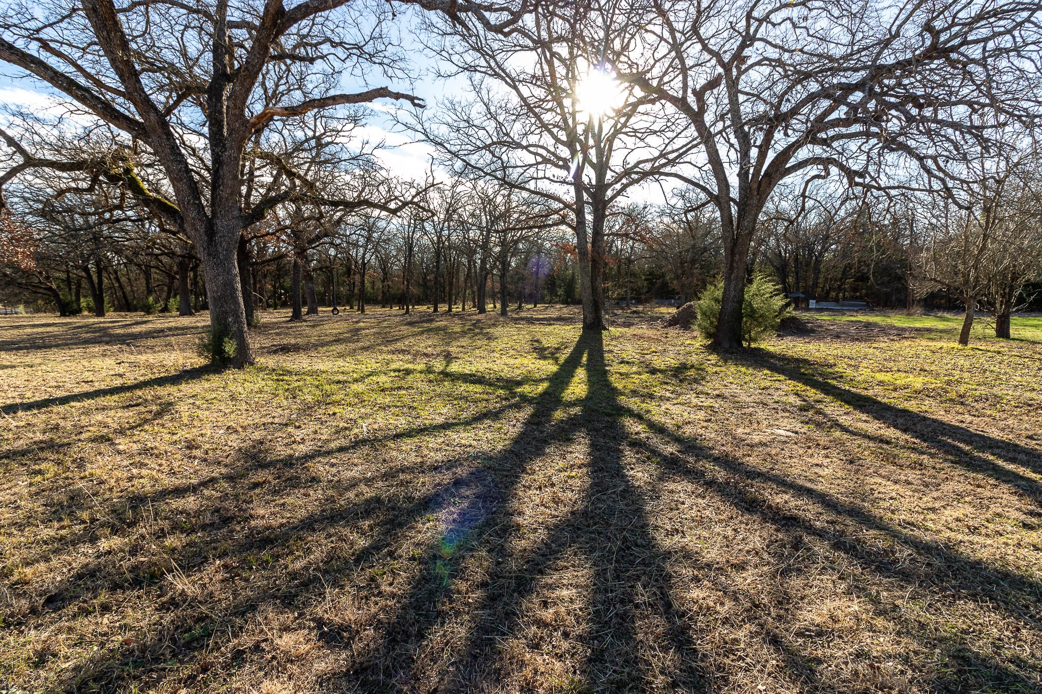 1525 Magnolia Lane Wills Point TX 75169