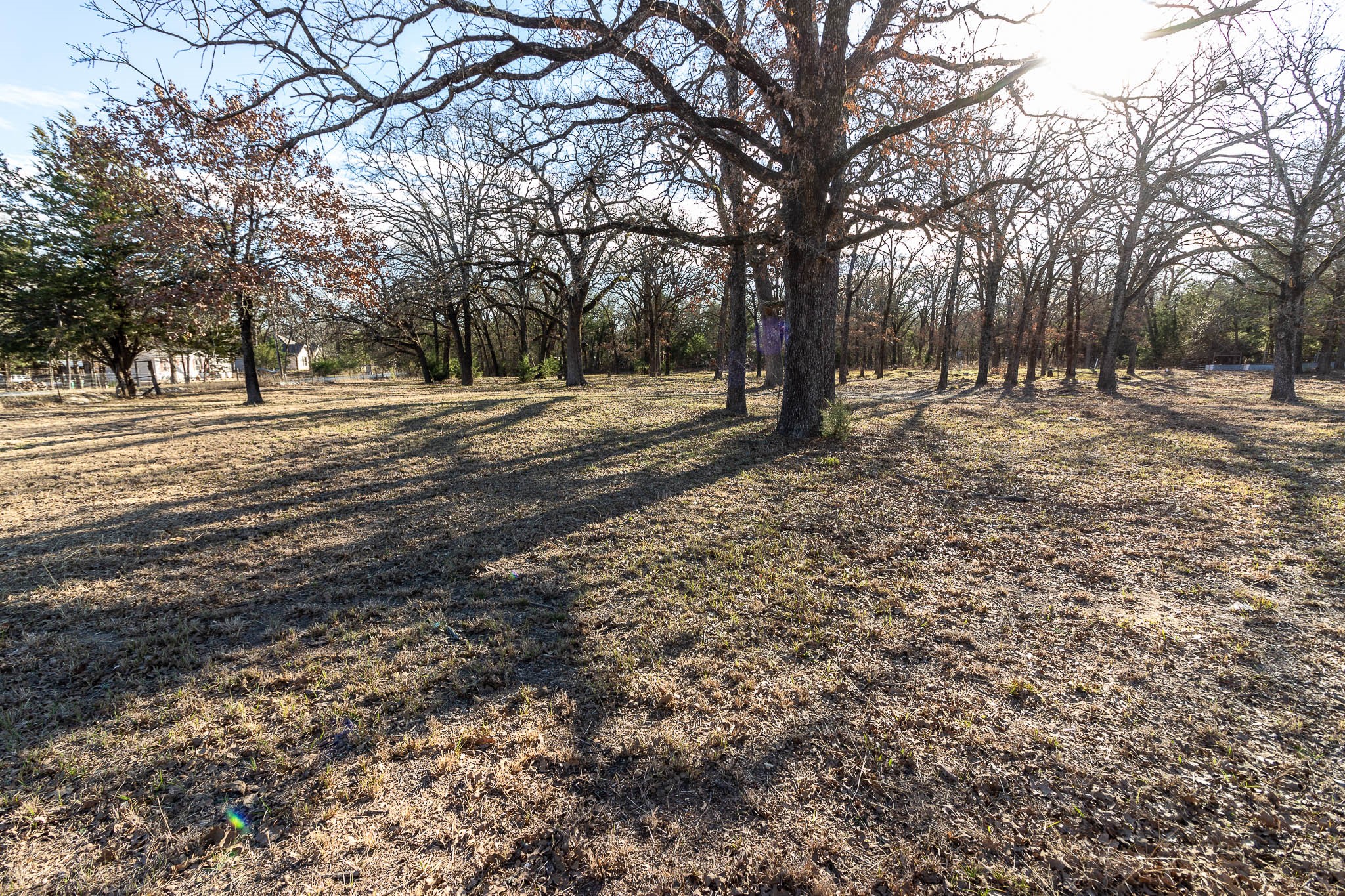 1525 Magnolia Lane Wills Point TX 75169