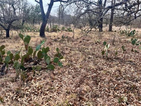 Lot 64 Janda Lane Brownwood TX 76801