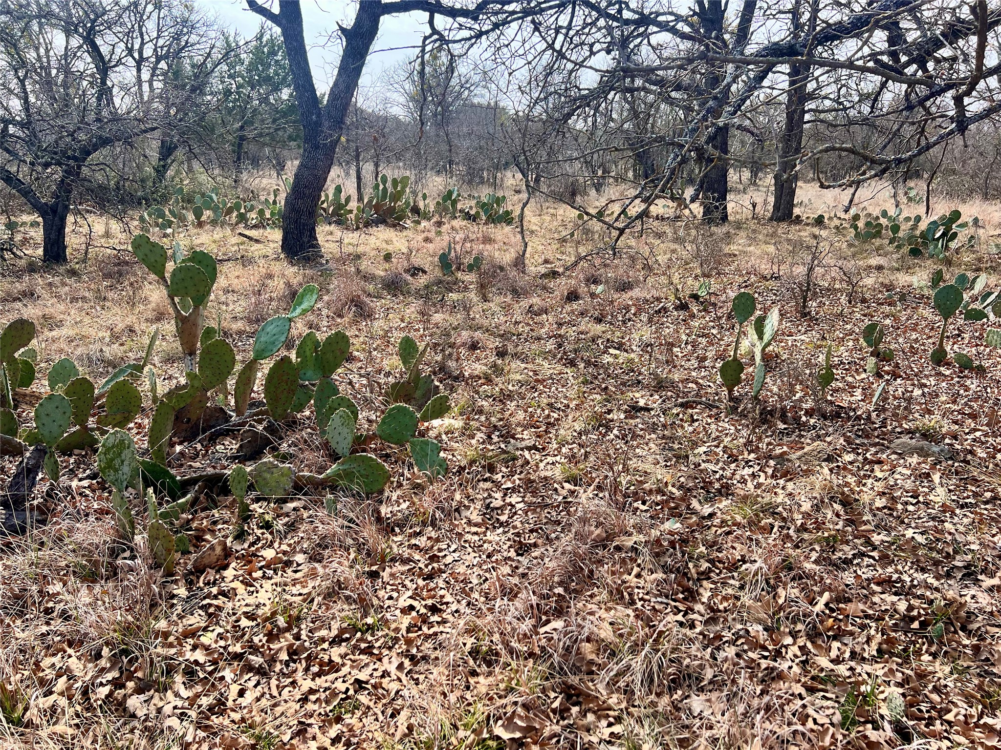 Lot 64 Janda Lane Brownwood TX 76801