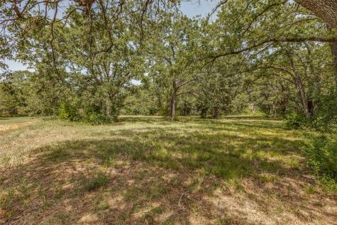 61573 La Bota Corsicana TX 75109