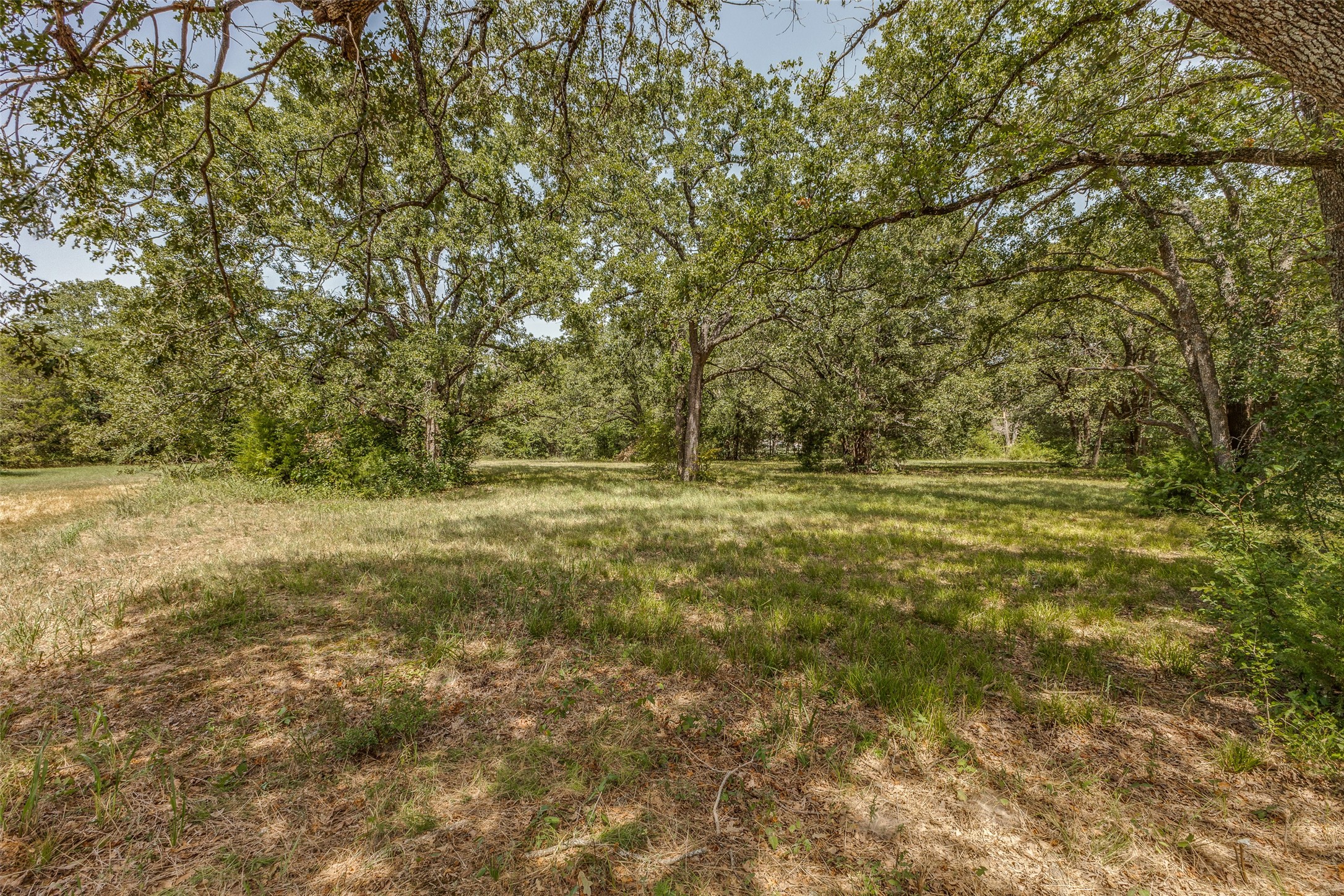 61573 La Bota Corsicana TX 75109