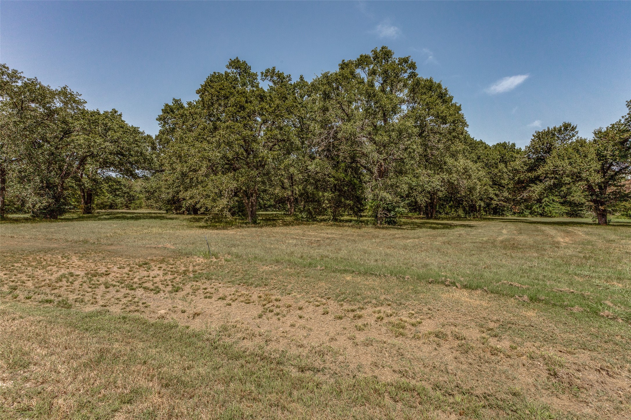61573 La Bota Corsicana TX 75109