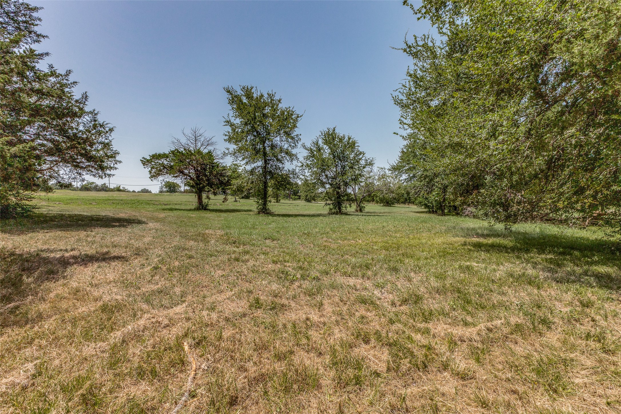 61573 La Bota Corsicana TX 75109