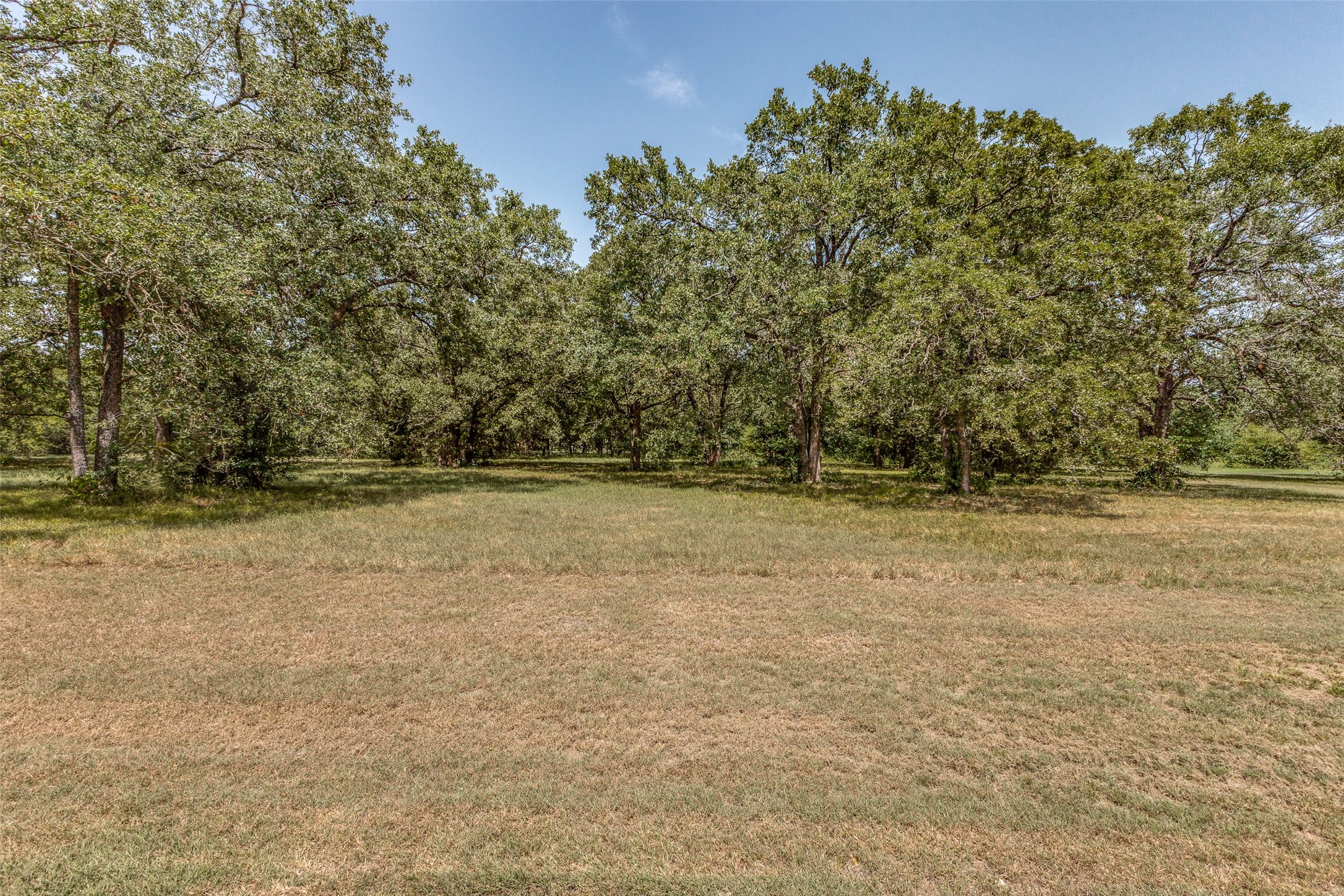 61573 La Bota Corsicana TX 75109