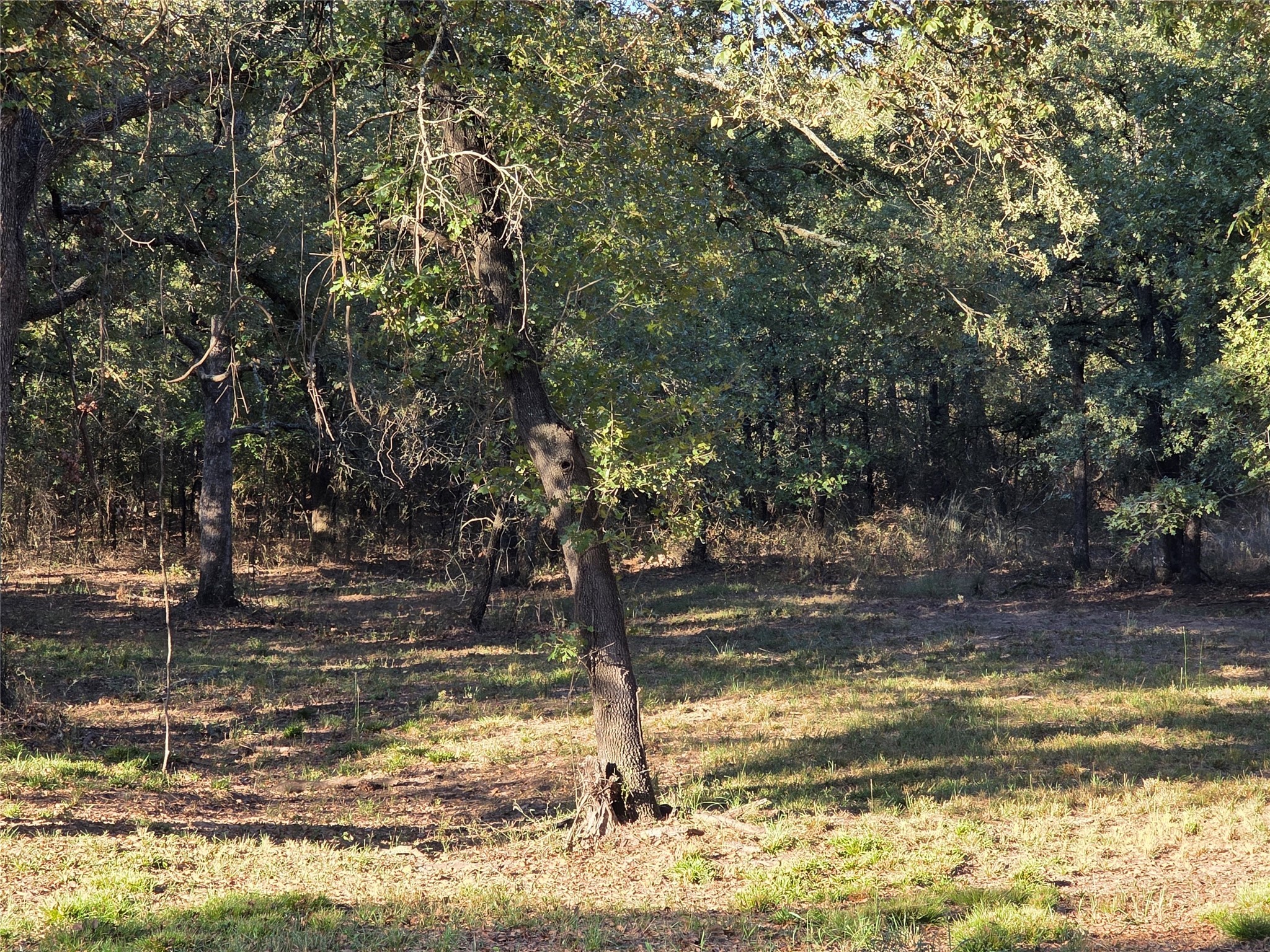 125 Comanche Trail Nocona TX 76255
