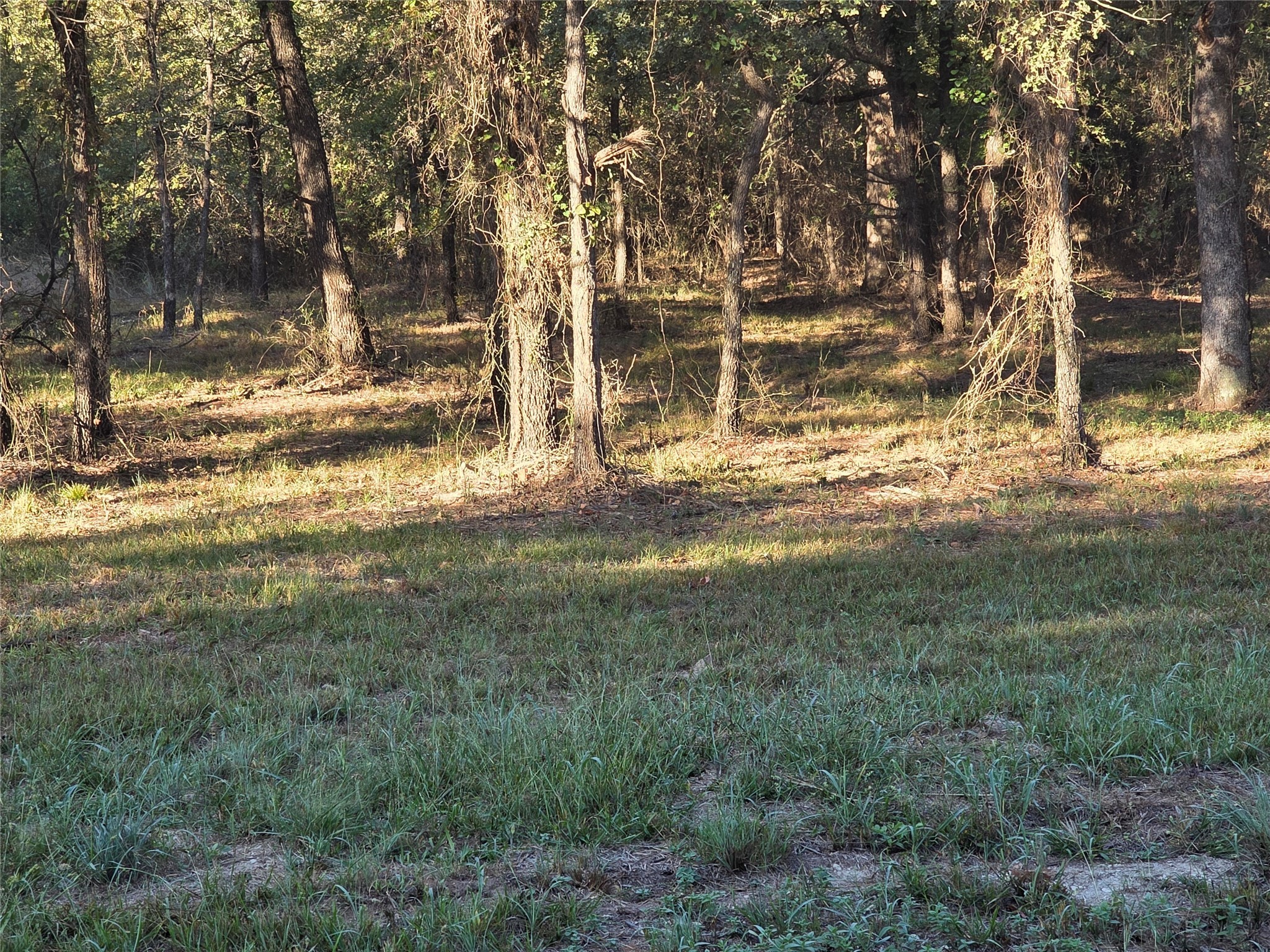 125 Comanche Trail Nocona TX 76255
