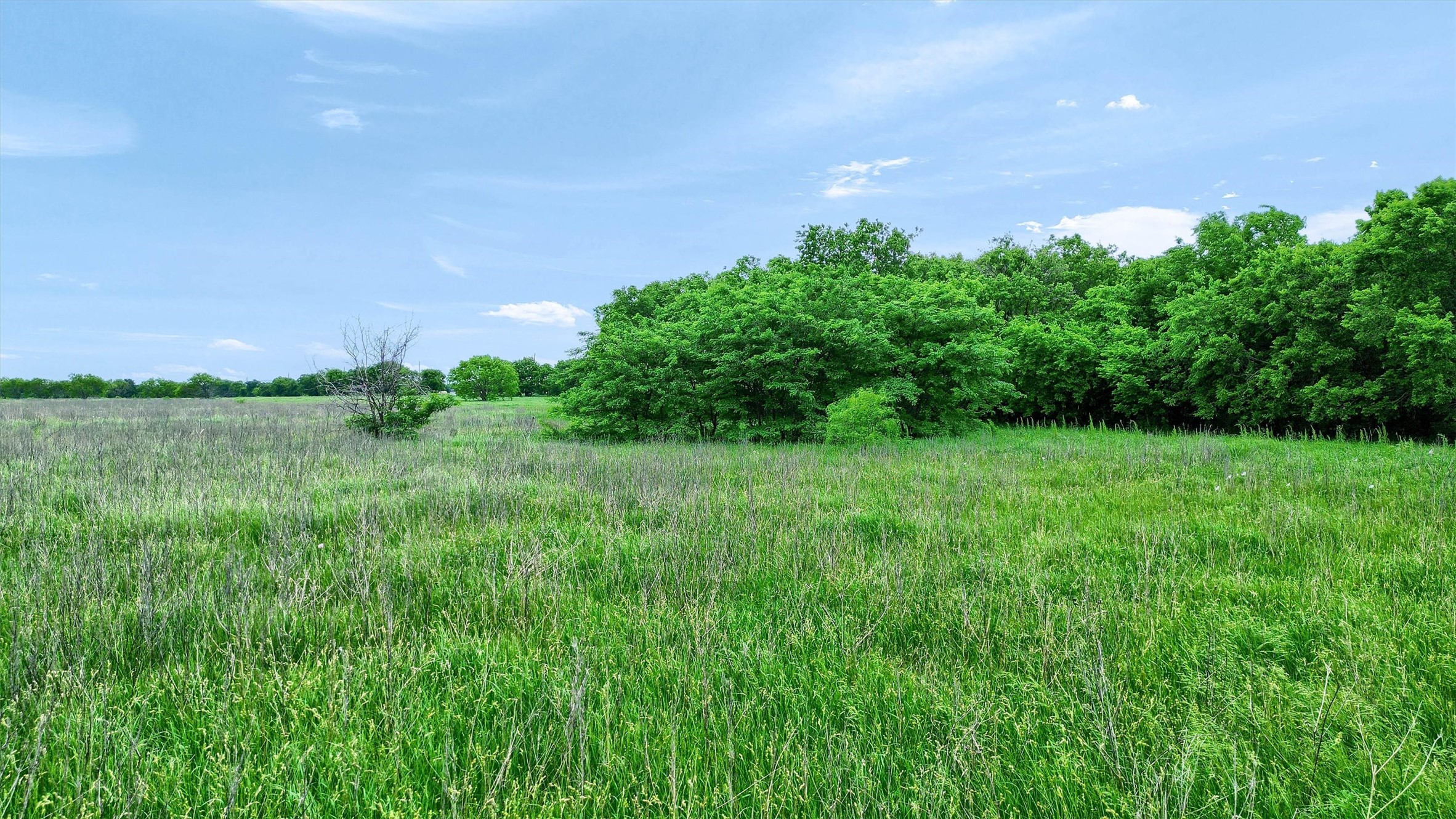 0000 Old Tioga Gunter TX 75058