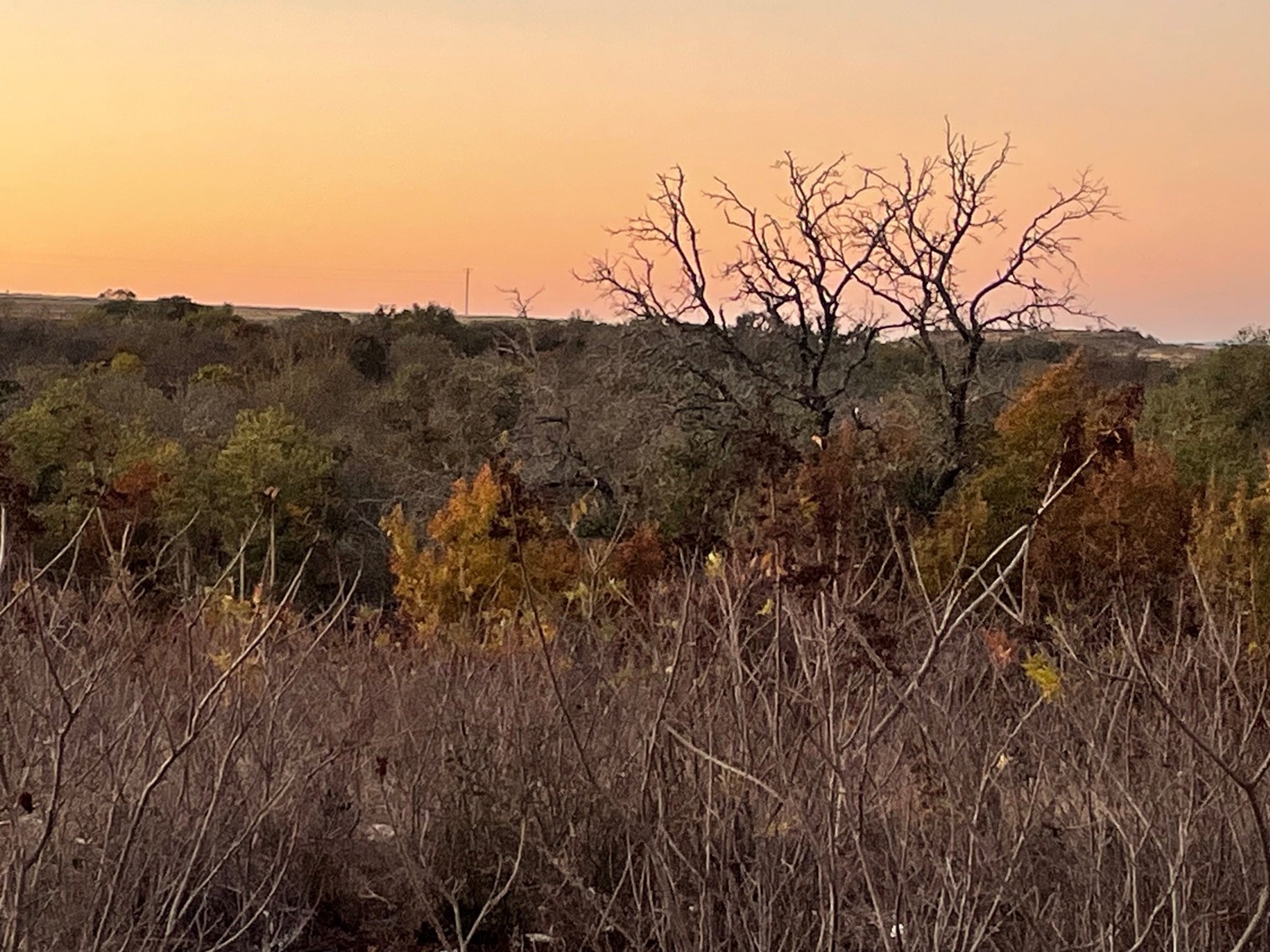 Tbd Tract 28 Indian Springs Indian Gap TX 76531