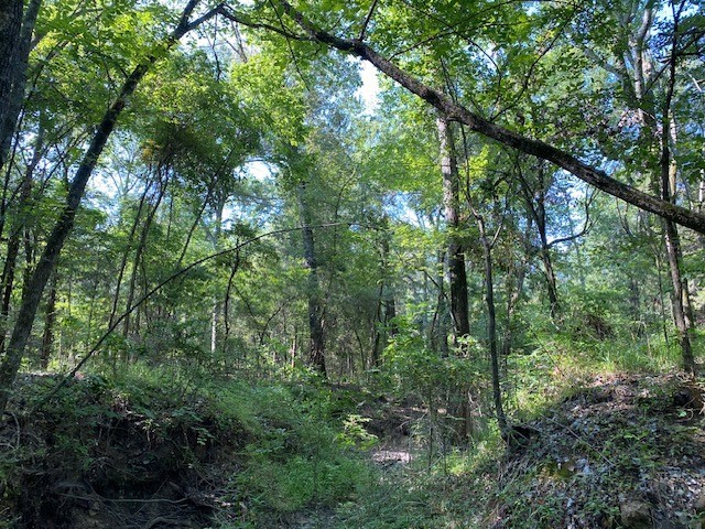Trail 4-b Cr 41514 Athens TX 75751