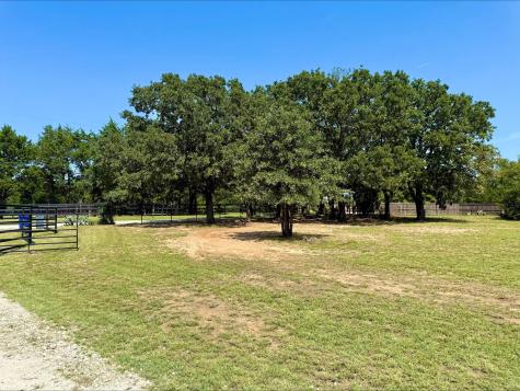 790 Ferguson Road Whitesboro TX 76273