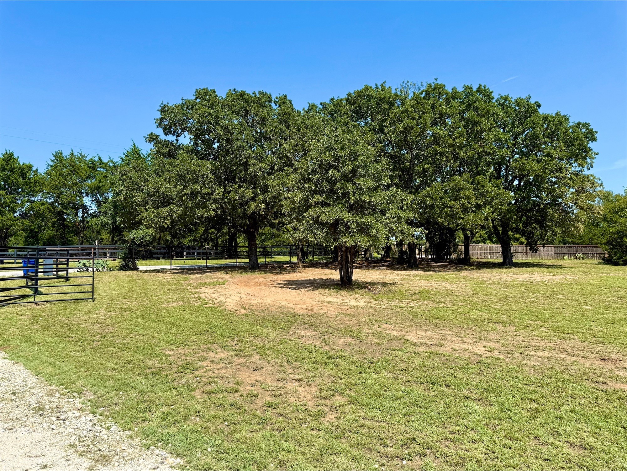 790 Ferguson Road Whitesboro TX 76273