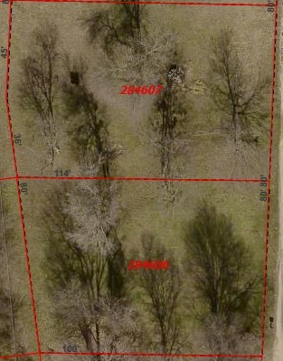 301 Wildwind Street Gun Barrel City TX 75156