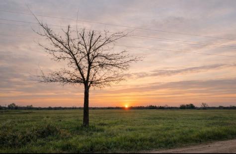Tbd County Road 14420 Pattonville TX 75468