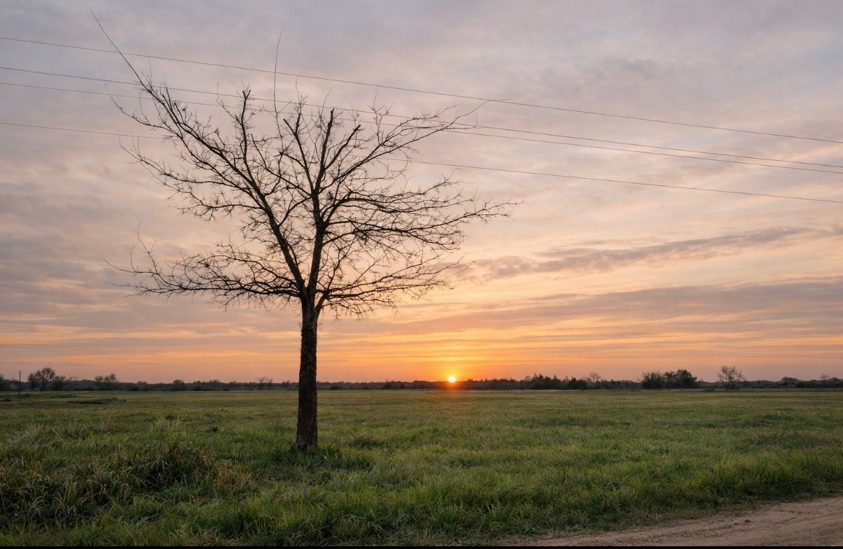 Tbd County Road 14420 Pattonville TX 75468