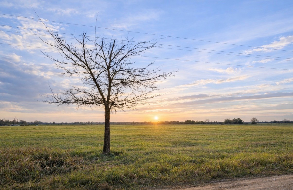Tbd County Road 14420 Pattonville TX 75468