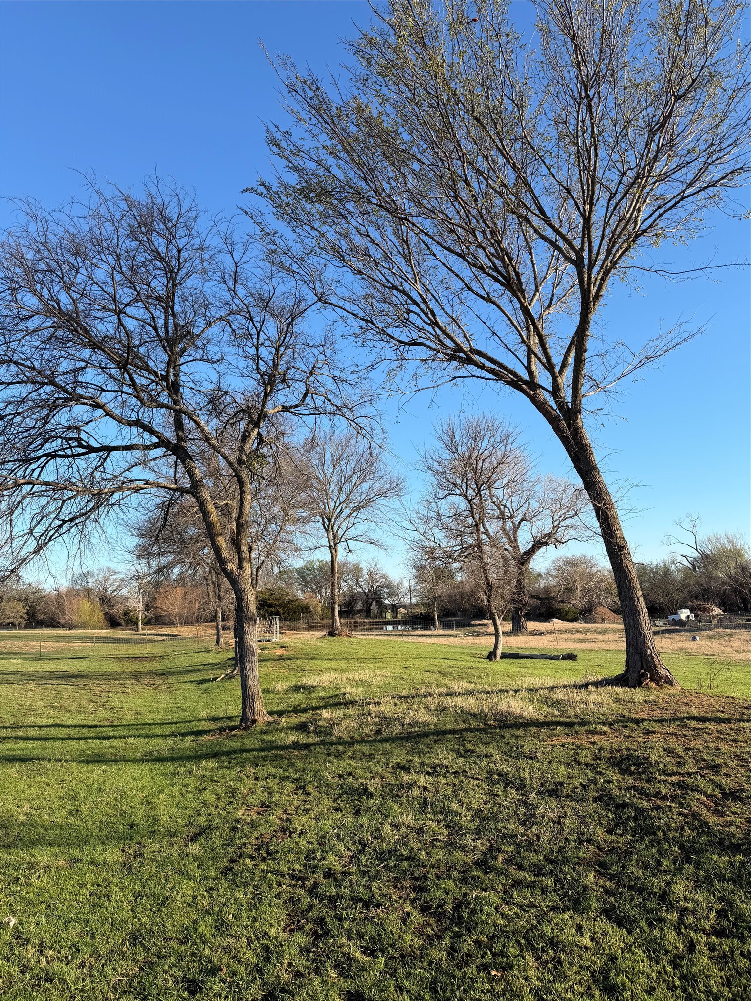 170 County Road 4678 Boyd TX 76023