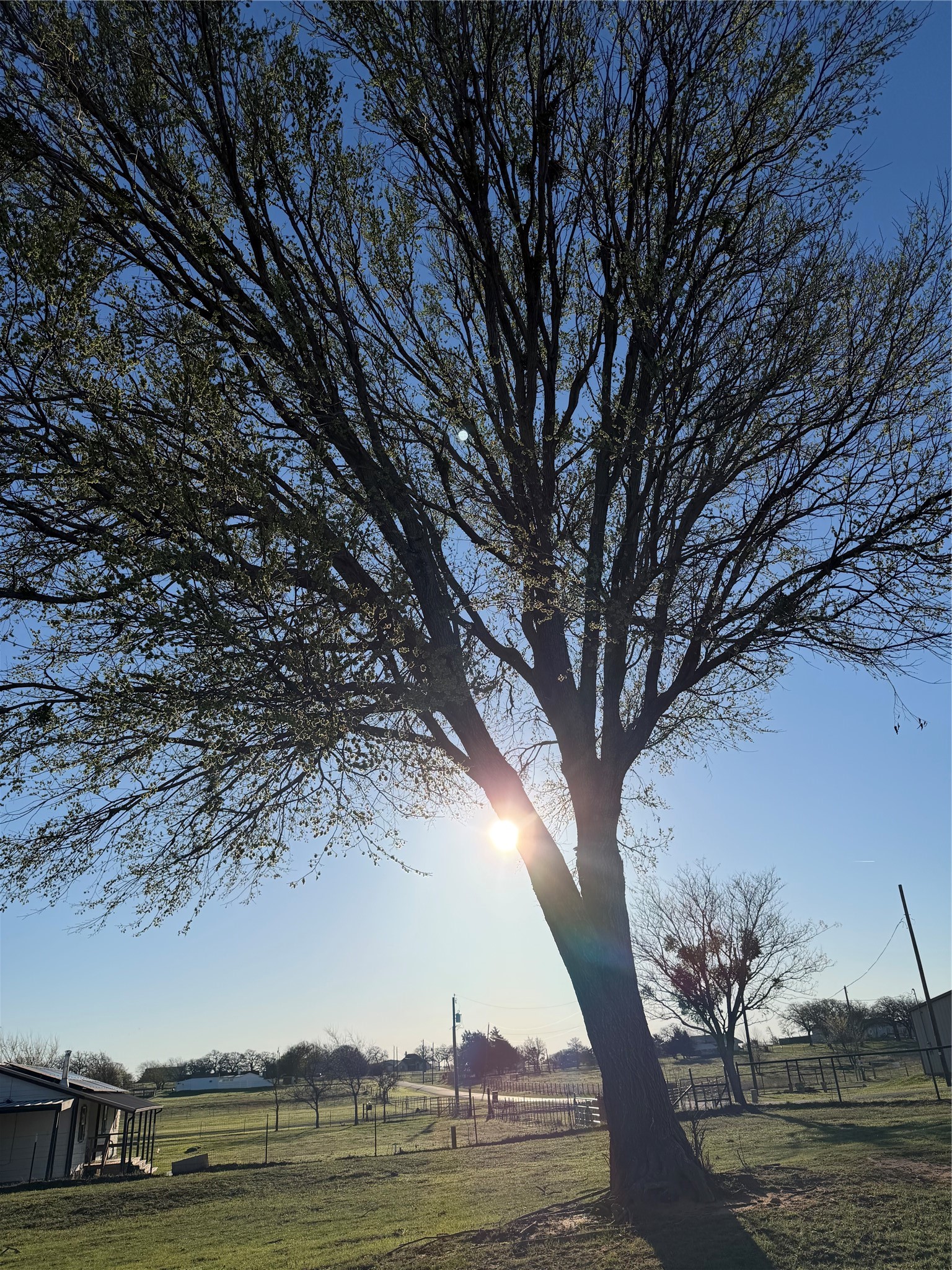 170 County Road 4678 Boyd TX 76023