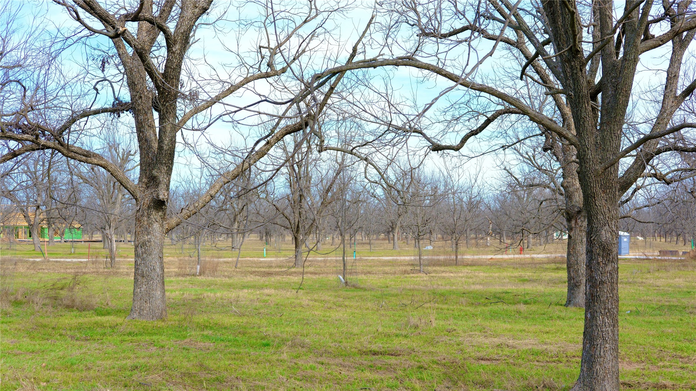 1700 Cirrus Loop Granbury TX 76049