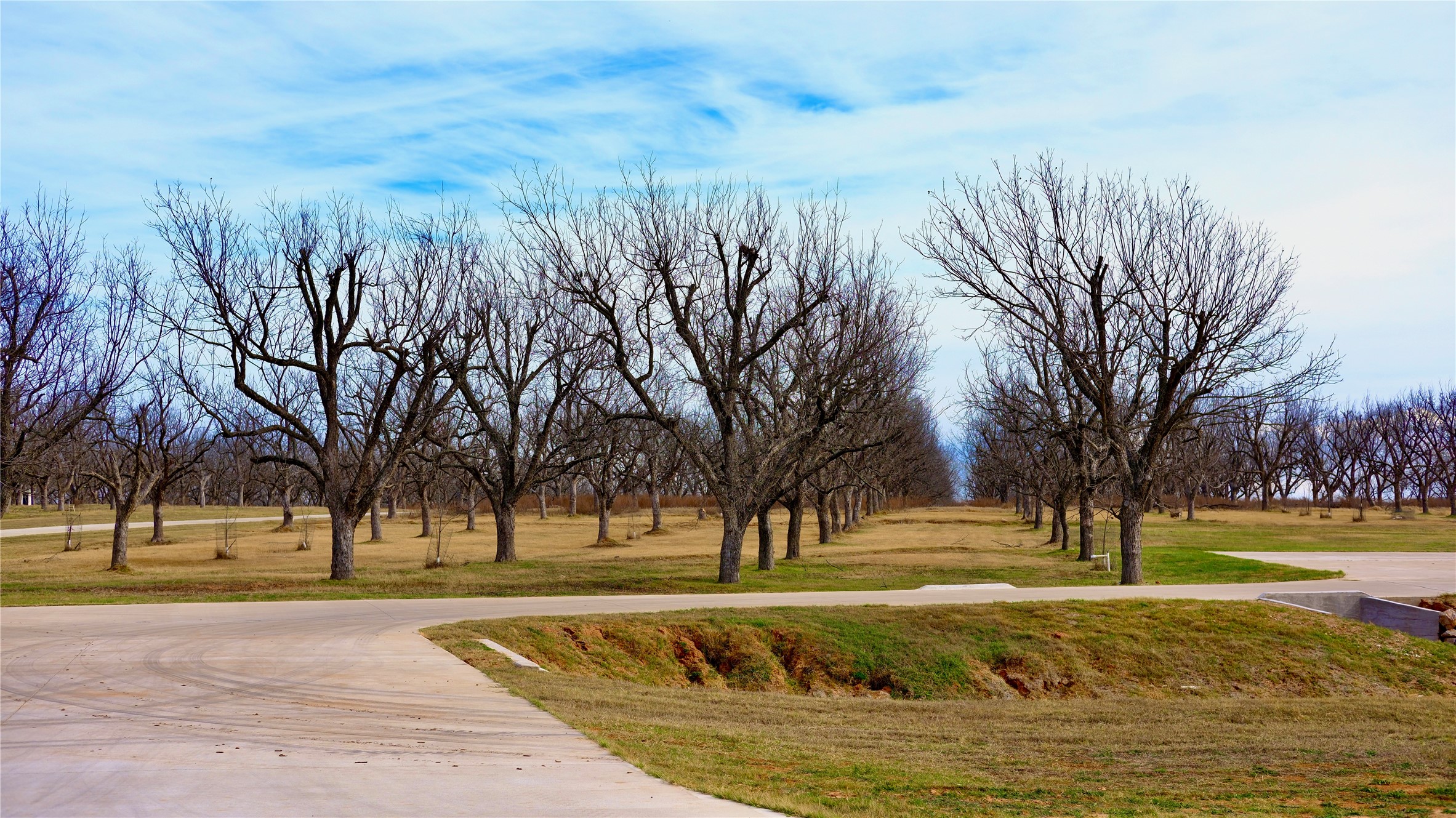 1700 Cirrus Loop Granbury TX 76049