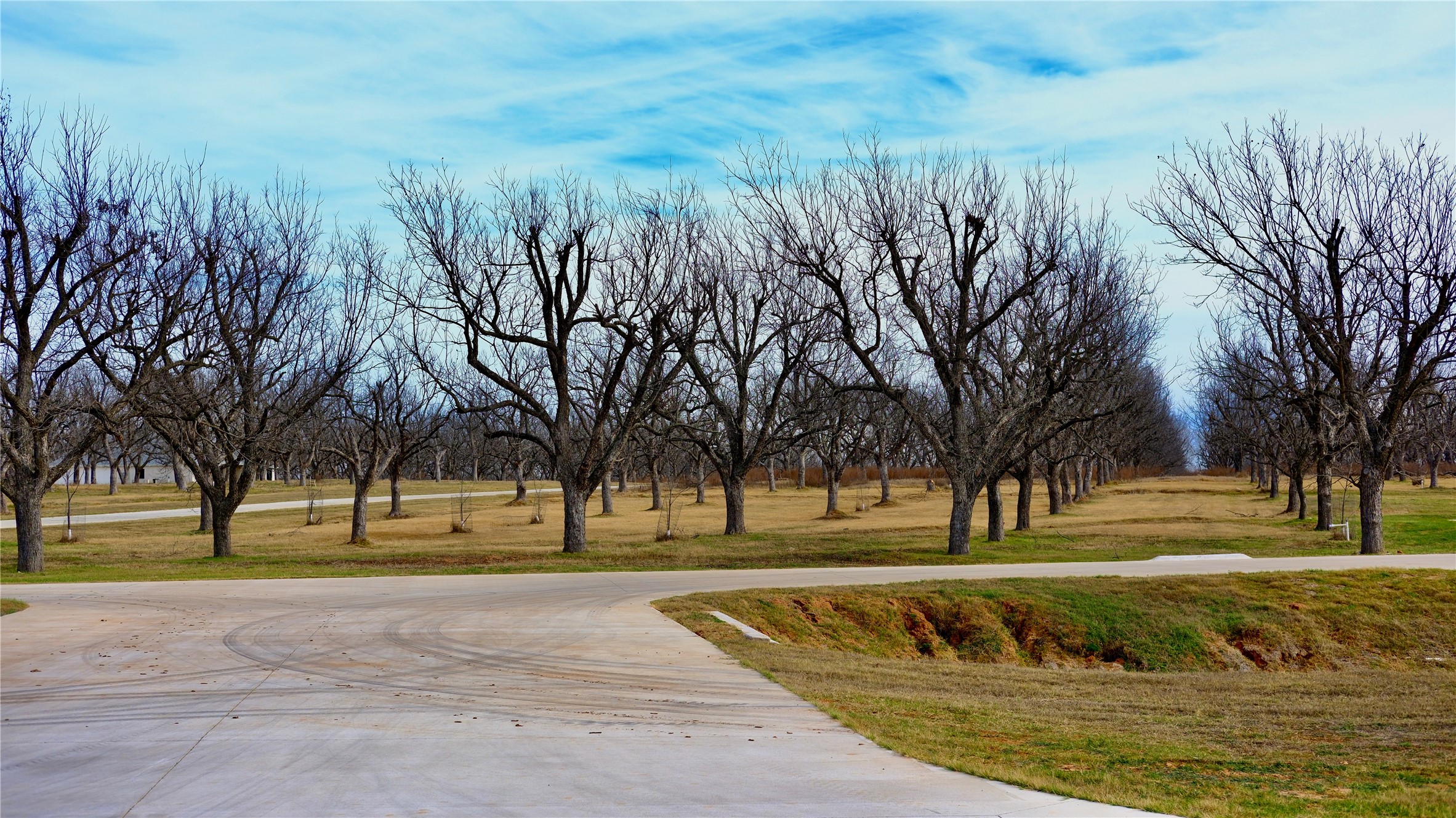1700 Cirrus Loop Granbury TX 76049
