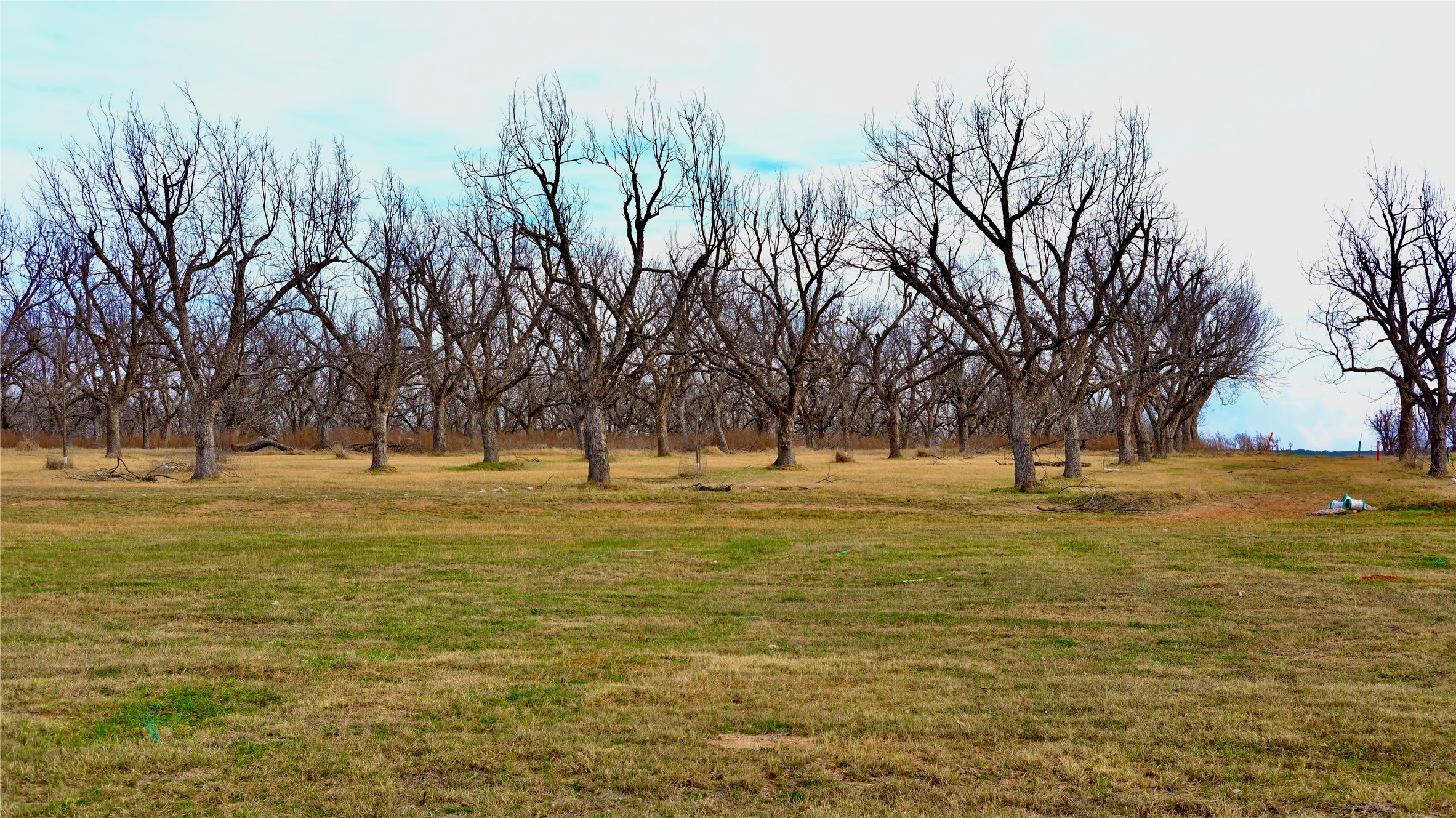 1700 Cirrus Loop Granbury TX 76049