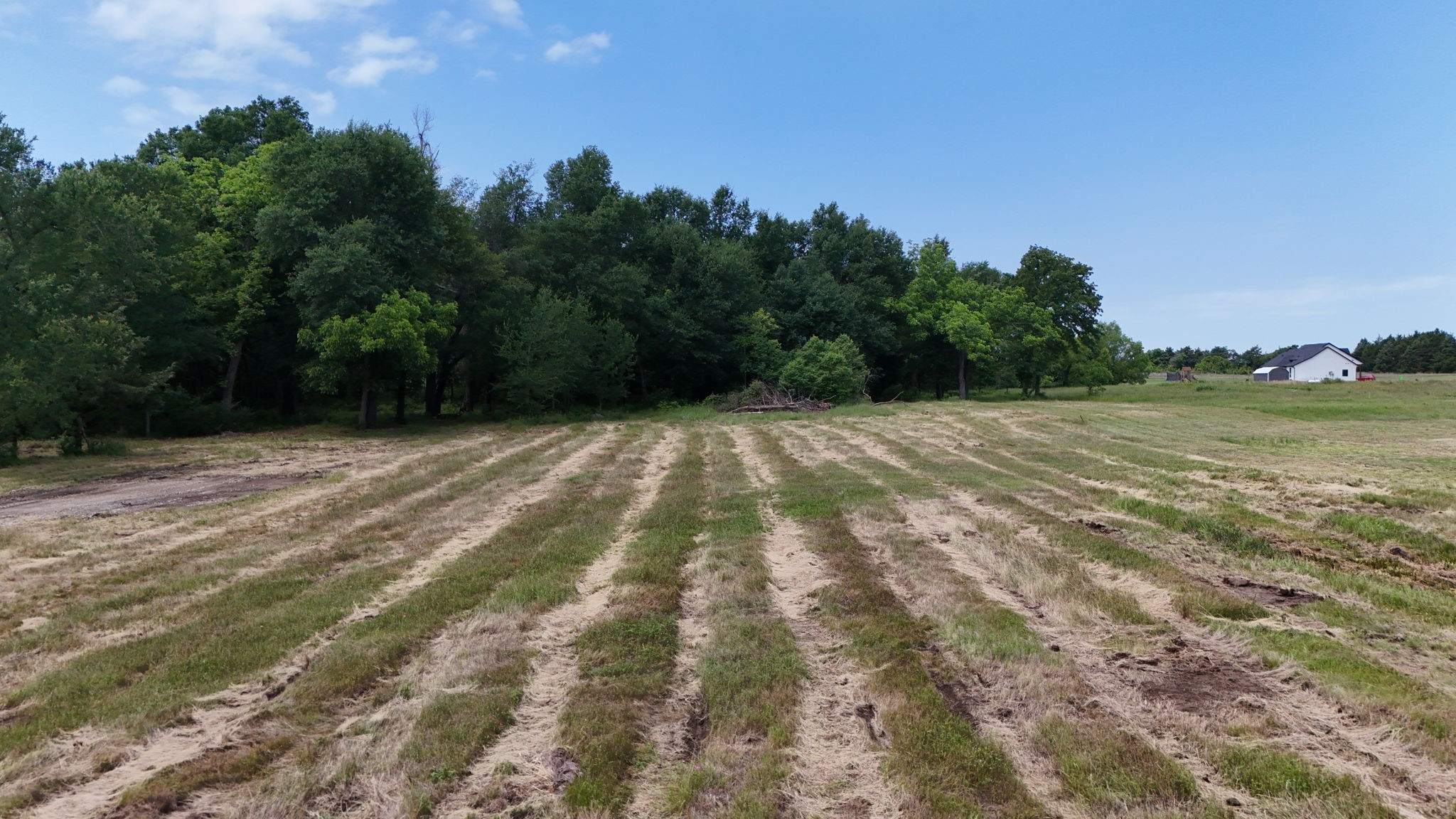 3164 County Road 1076 Celeste TX 75423