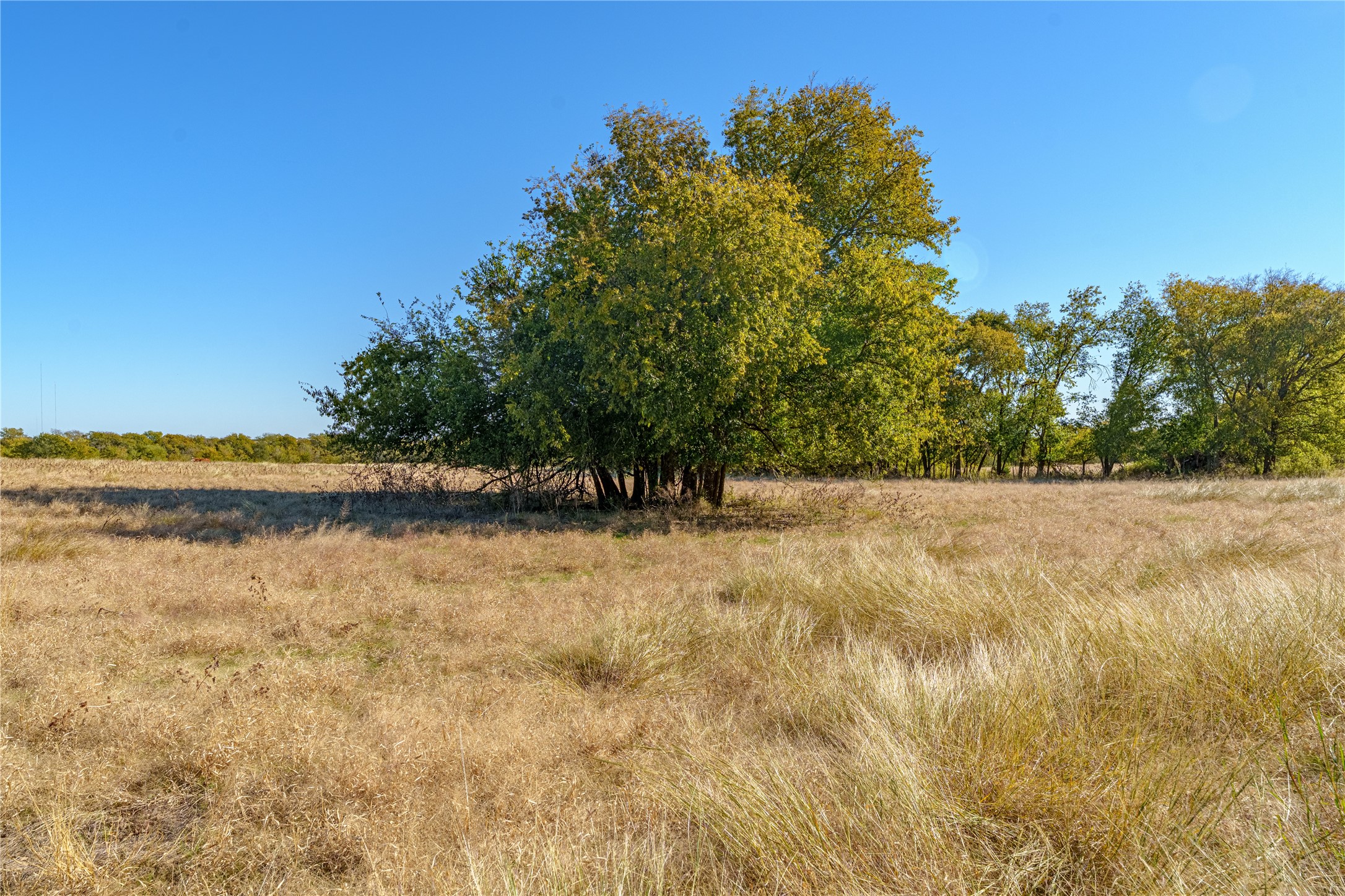 1633 Alexander Road Moody TX 76557