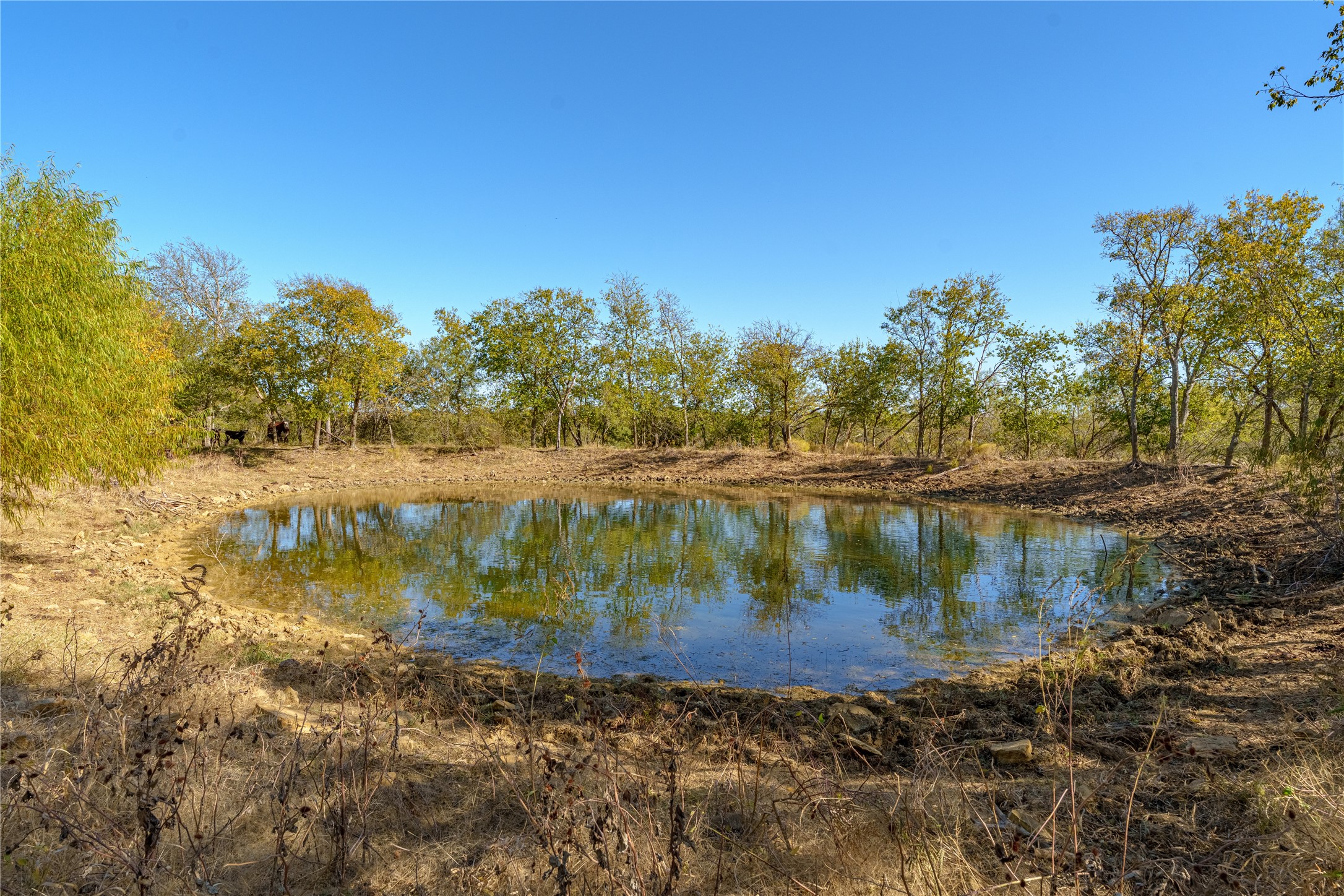 1633 Alexander Road Moody TX 76557