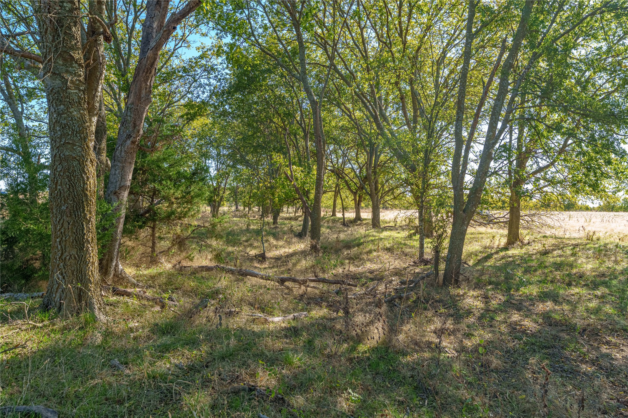 1633 Alexander Road Moody TX 76557