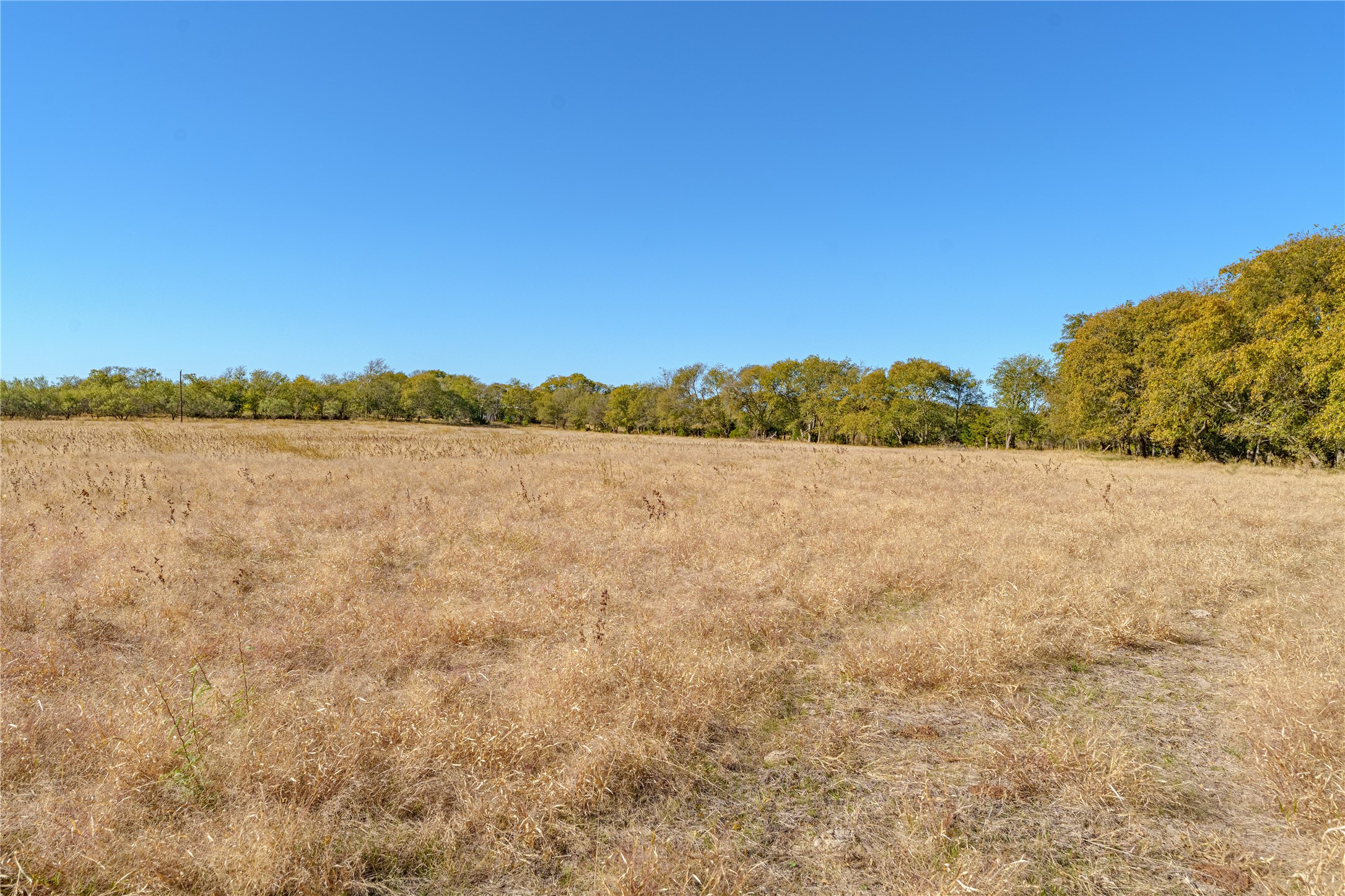 1633 Alexander Road Moody TX 76557
