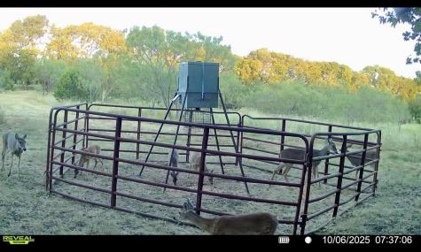1633 Alexander Road Moody TX 76557