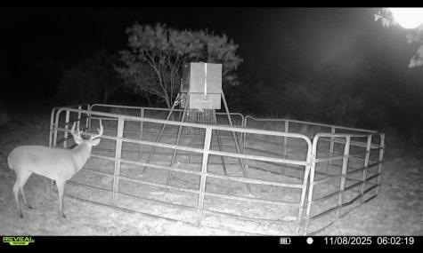1633 Alexander Road Moody TX 76557