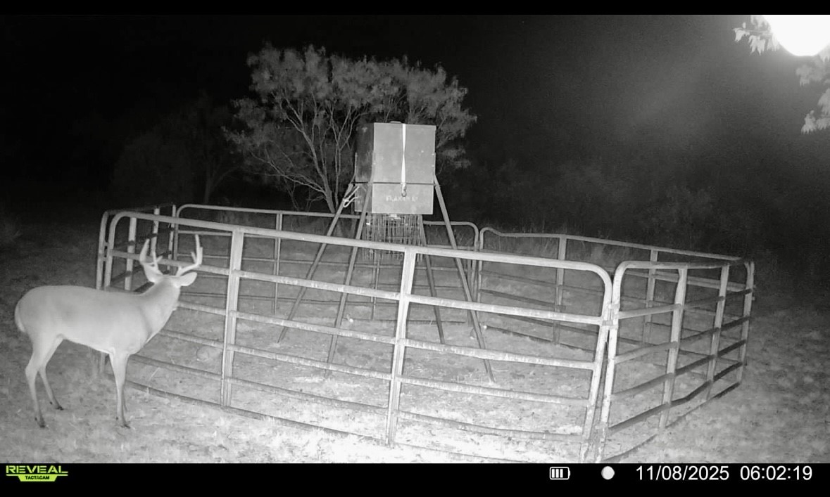 1633 Alexander Road Moody TX 76557