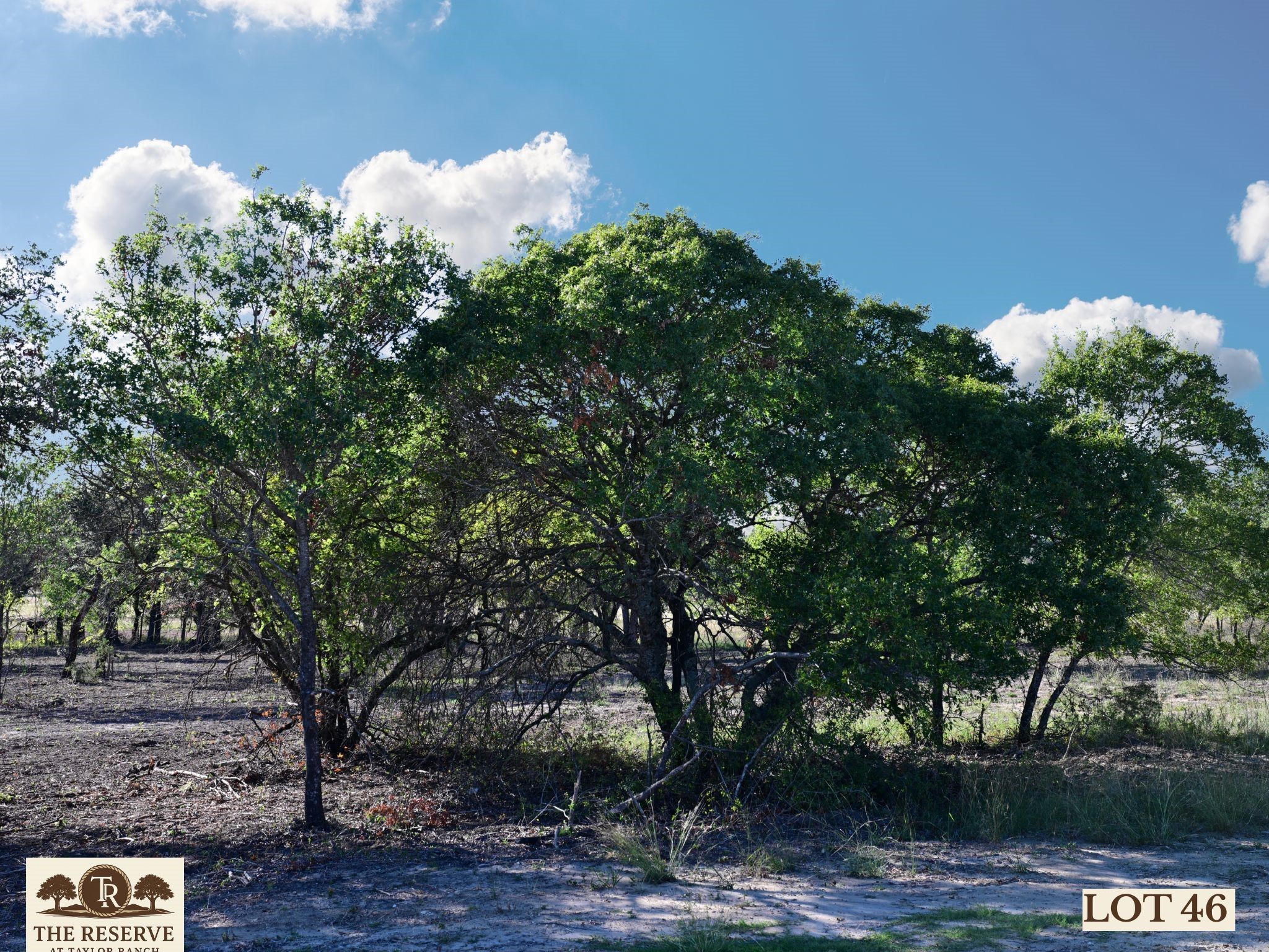 Lot 46 Colt Road Springtown TX 76082
