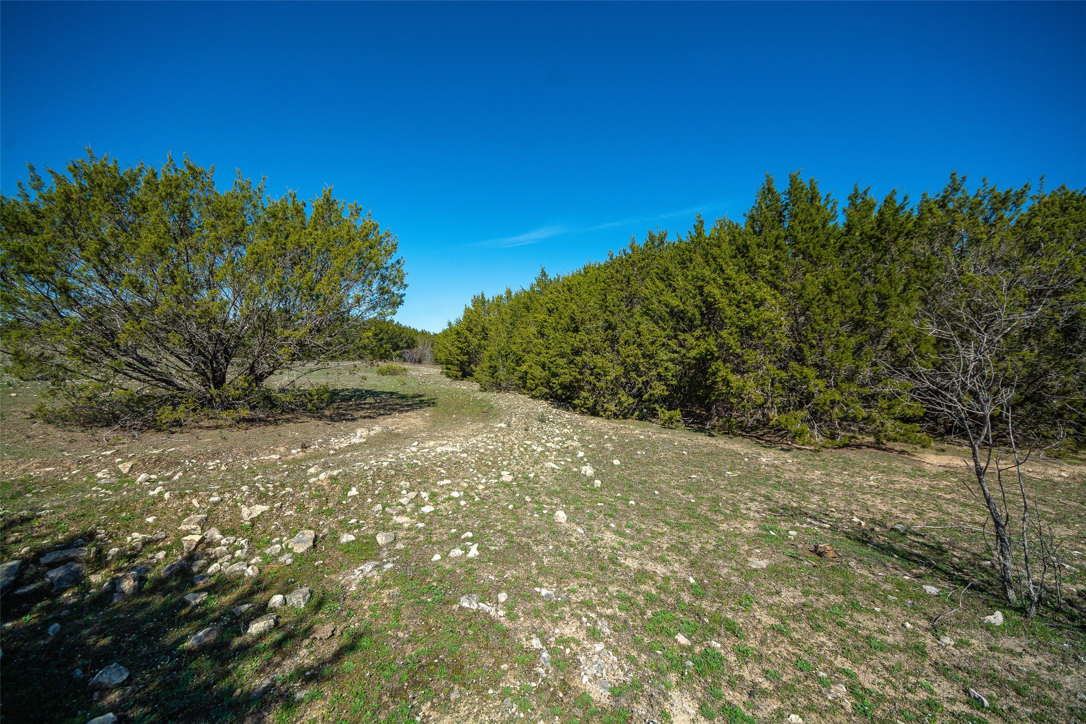 2400 Hermosa Hills Court Granbury TX 76048