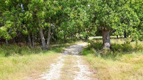 122 And 130 Private Road 2164 Iredell TX 76649