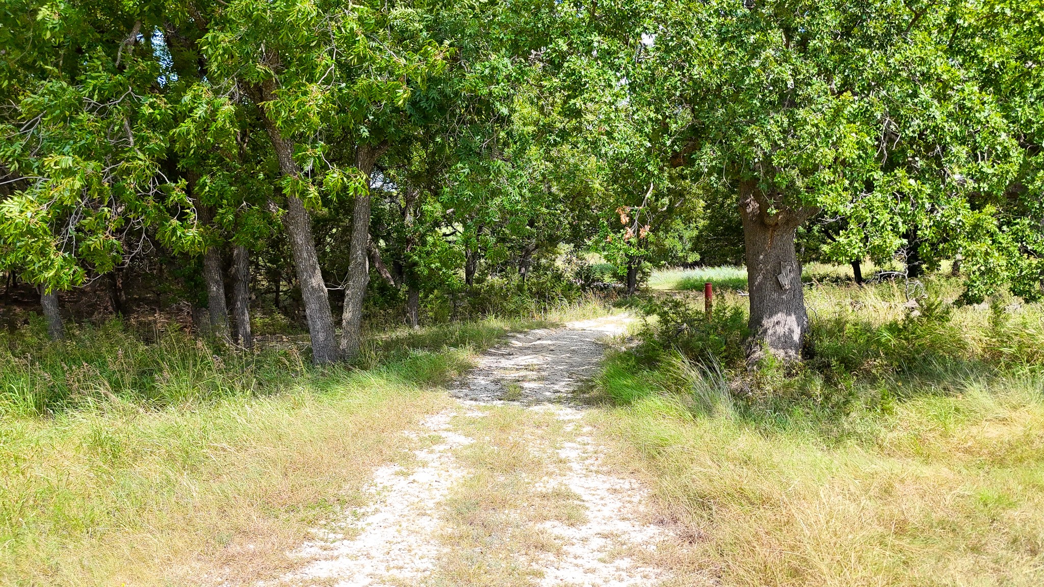 122 And 130 Private Road 2164 Iredell TX 76649