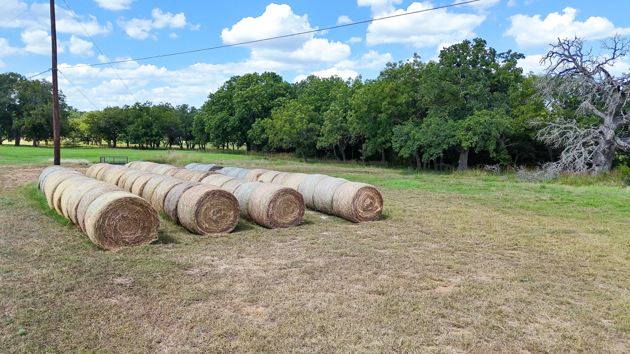122 And 130 Private Road 2164 Iredell TX 76649