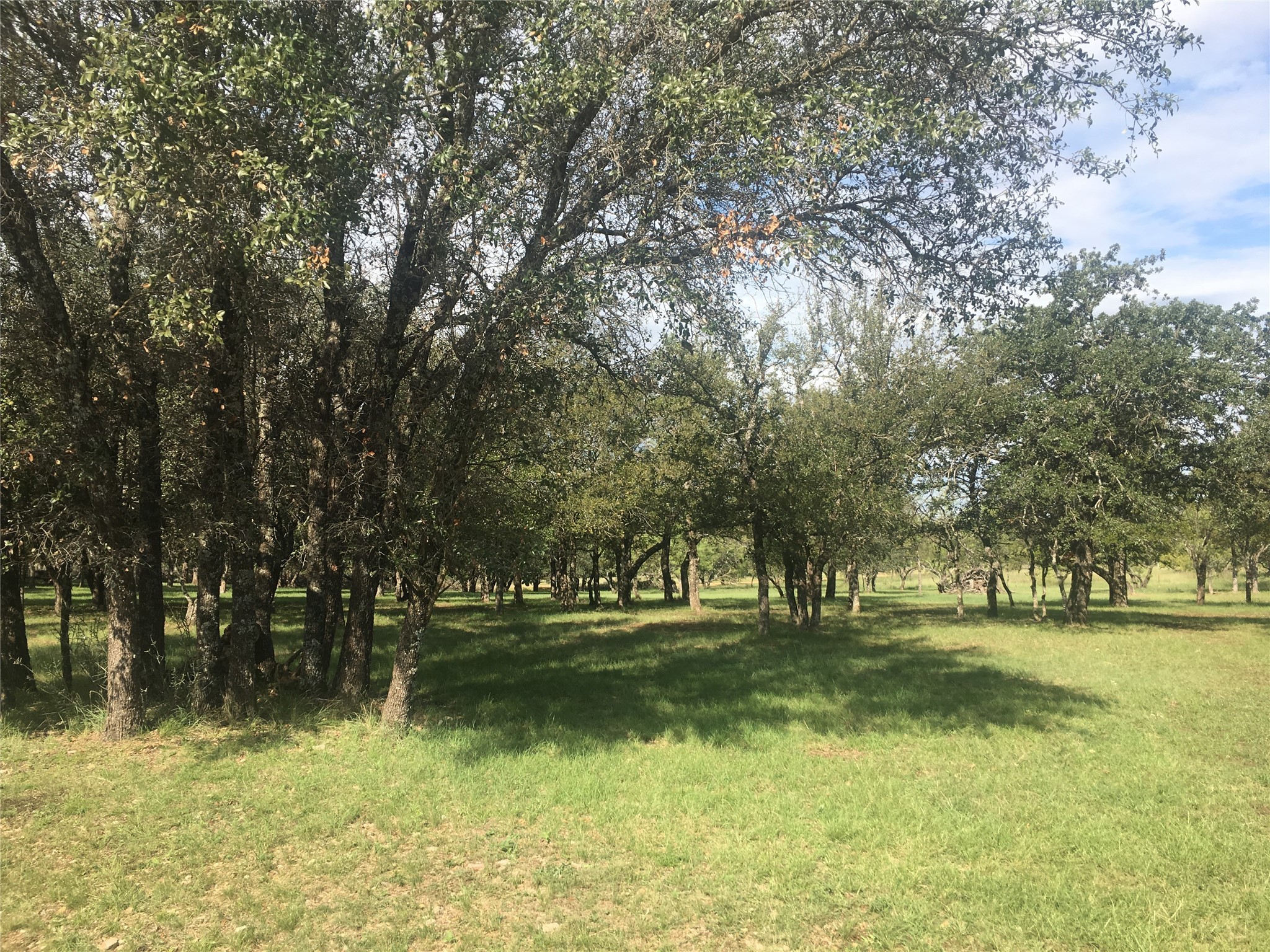 Lot 1074 Oak Point Drive May TX 76857